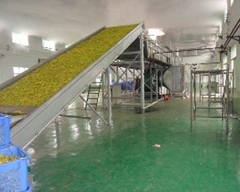 黄瓜视频APP下载免费直播廠家